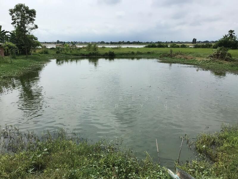 ขาย - ที่ดินบางปลาม้า สุพรรณบุรี, สุพรรณบุรี