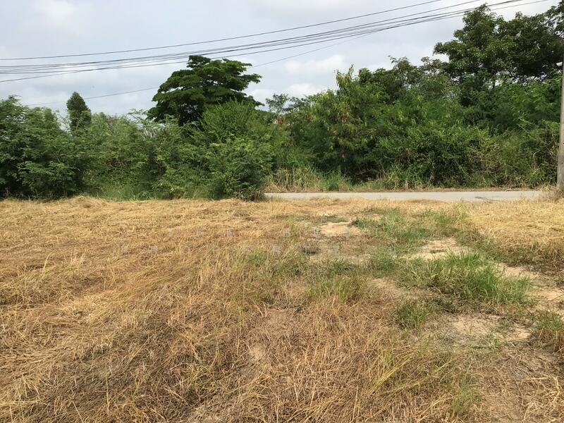 ขาย - ที่ดินบางปลาม้า สุพรรณบุรี, สุพรรณบุรี