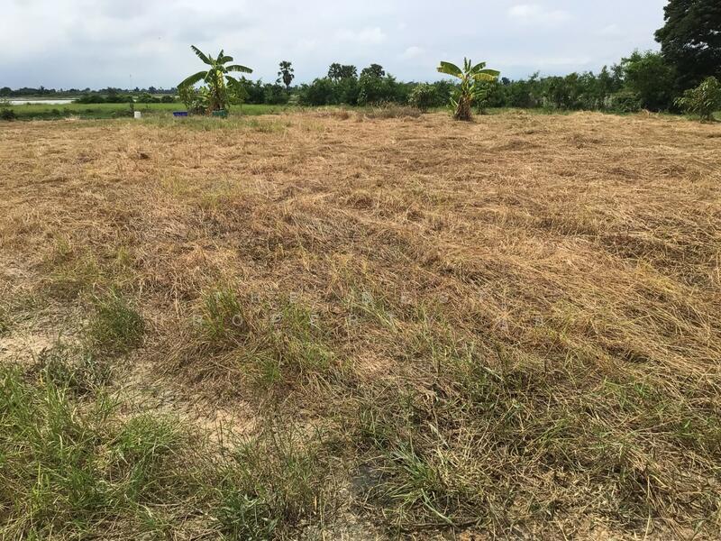 ขาย - ที่ดินบางปลาม้า สุพรรณบุรี, สุพรรณบุรี