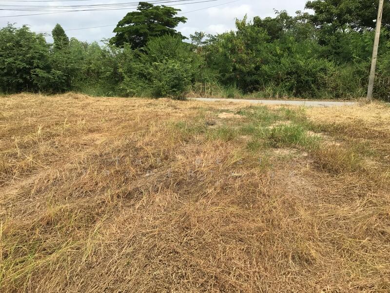 ขาย - ที่ดินบางปลาม้า สุพรรณบุรี, สุพรรณบุรี