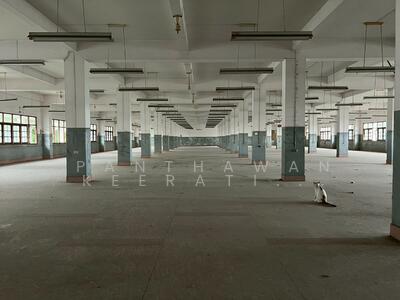 ขาย - โรงงานและที่พักอาศัยขนาดใหญ่ ทำเลดี ซอยเอกชัย 99, กรุงเทพ