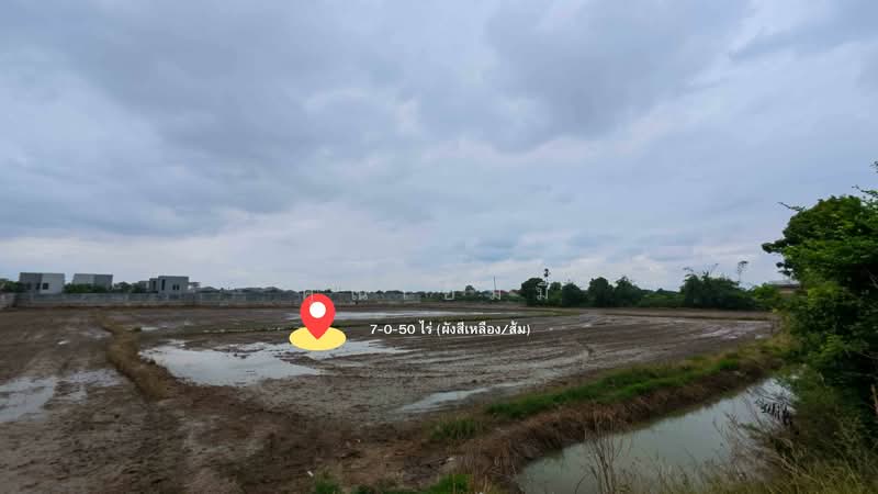 ขายที่ดินชัยพฤกษ์–คลองพระอุดม ปากเกร็ด 7-0-50 ไร่ ใกล้ SISB–วัดสะพานสูง ผังเมืองเหลือง/ส้ม, นนทบุรี, คลองพระอุดม, ปากเกร็ด, นนทบุรี, 11,400 ตร.ม., ที่ดิน ขาย, โดย คุณเอ็มมี่, 60245254 - DDproperty.com