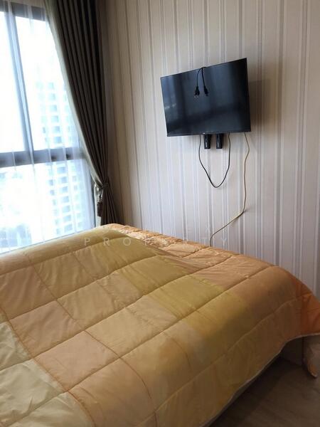 IDEO O2 Bangna, Bangkok, 195 Sanphawut Road, Bang Na Tai, Bang Na, Bangkok, 1 Bedroom, 32 sqm, Condo For Rent, by Connex Property, 60245477 - DDproperty.com