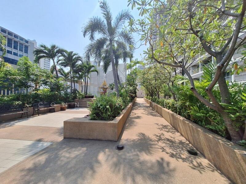 Grand Park View Asoke : แกรนด์ พาร์ค วิว อโศก, กรุงเทพ, 21 ถนน สุขุมวิท, คลองเตยเหนือ, วัฒนา, กรุงเทพ, 42 ตร.ม., คอนโด ให้เช่า, โดย Connex Property, 60245727 - DDproperty.com