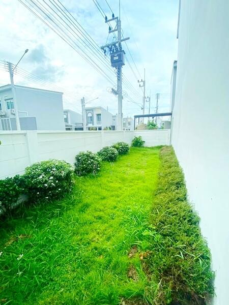 ให้เช่า - หาไม่เจอ, ปทุมธานี