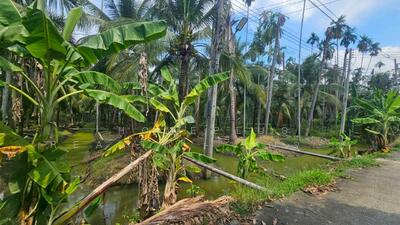 ขาย - ที่ดินตำบลท่าตลาด อำเภอสามพราน นครปฐม เนื้อที่ 800 ตารางวา, นครปฐม