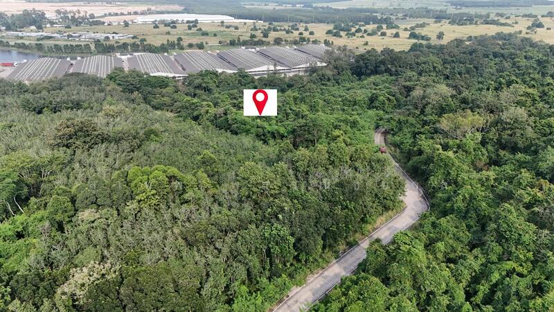 ขาย - ขายที่ดิน 17 ไร่ๆละ 2.8 ล้าน ใกล้ถนน 3574 เพียง 1.5 กม. เขาคันทรง ศรีราชา เหมาะทำคลังสินค้า, ชลบุรี