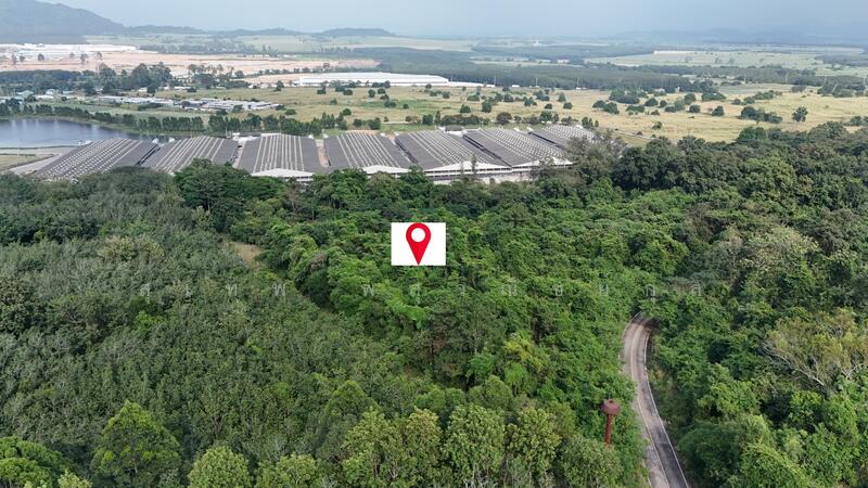 ขาย - ขายที่ดิน 17 ไร่ๆละ 2.8 ล้าน ใกล้ถนน 3574 เพียง 1.5 กม. เขาคันทรง ศรีราชา เหมาะทำคลังสินค้า, ชลบุรี