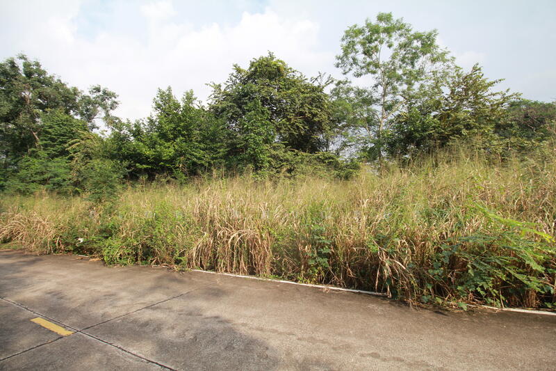 ขาย - ขายที่ดิน 17 ไร่ๆละ 2.8 ล้าน ใกล้ถนน 3574 เพียง 1.5 กม. เขาคันทรง ศรีราชา เหมาะทำคลังสินค้า, ชลบุรี