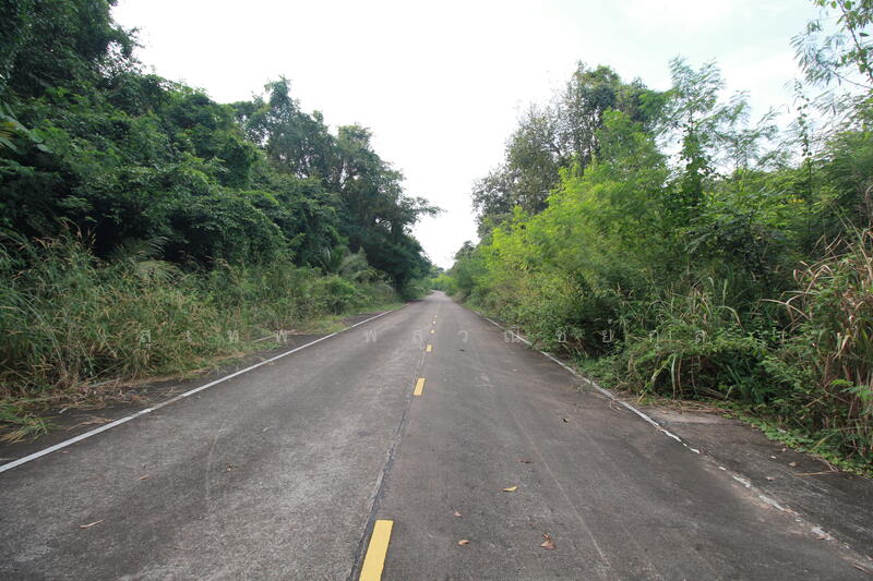 ขาย - ขายที่ดิน 17 ไร่ๆละ 2.8 ล้าน ใกล้ถนน 3574 เพียง 1.5 กม. เขาคันทรง ศรีราชา เหมาะทำคลังสินค้า, ชลบุรี