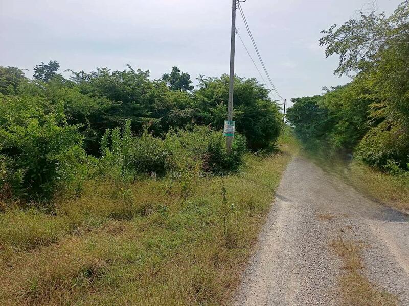 ขาย - ขายที่ดินเปล่า 100 ตารางวา ตำบลหินเหล็กไฟ อำเภอหัวหิน จังหวัดประจวบคีรีขันธ์ โฉนดครุฑแดง, ประจวบคีรีขันธ์