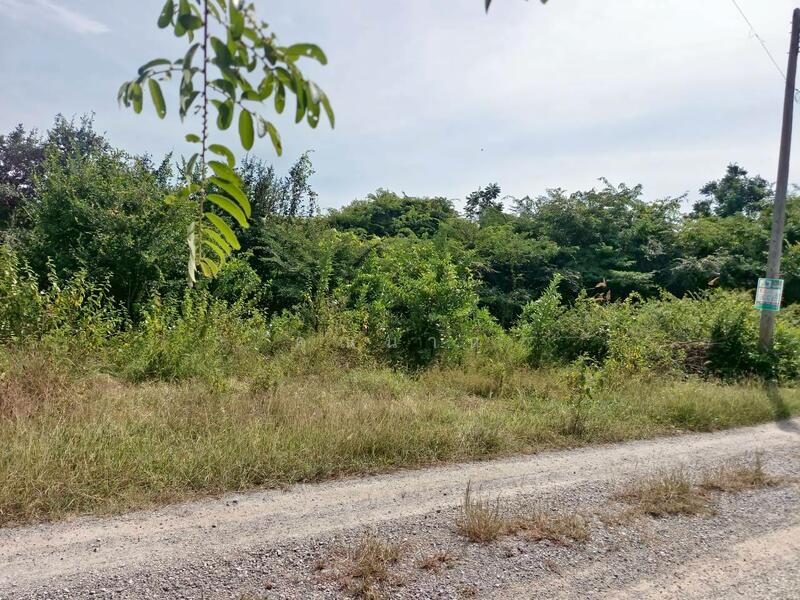 ขาย - ขายที่ดินเปล่า 100 ตารางวา ตำบลหินเหล็กไฟ อำเภอหัวหิน จังหวัดประจวบคีรีขันธ์ โฉนดครุฑแดง, ประจวบคีรีขันธ์