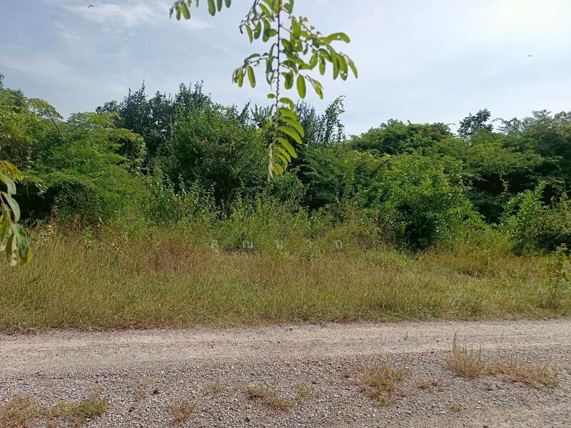 ขาย - ขายที่ดินเปล่า 100 ตารางวา ตำบลหินเหล็กไฟ อำเภอหัวหิน จังหวัดประจวบคีรีขันธ์ โฉนดครุฑแดง, ประจวบคีรีขันธ์