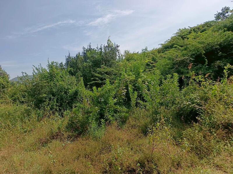 ขาย - ขายที่ดินเปล่า 100 ตารางวา ตำบลหินเหล็กไฟ อำเภอหัวหิน จังหวัดประจวบคีรีขันธ์ โฉนดครุฑแดง, ประจวบคีรีขันธ์