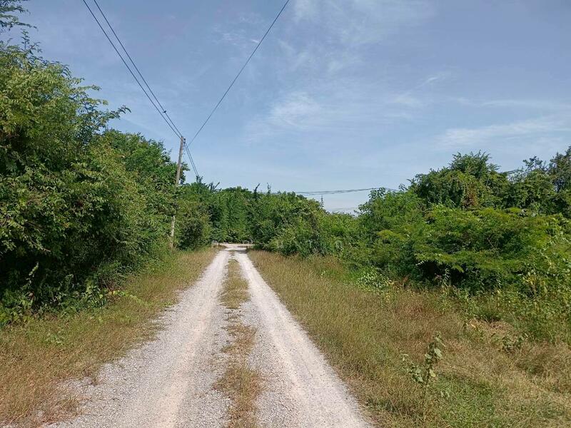 ขาย - ขายที่ดินเปล่า 100 ตารางวา ตำบลหินเหล็กไฟ อำเภอหัวหิน จังหวัดประจวบคีรีขันธ์ โฉนดครุฑแดง, ประจวบคีรีขันธ์