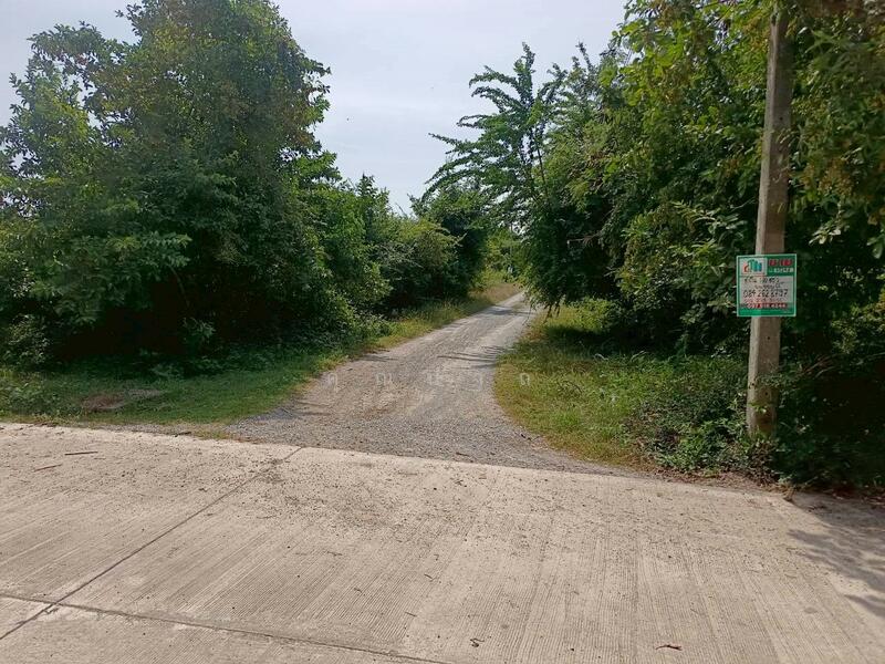 ขาย - ขายที่ดินเปล่า 100 ตารางวา ตำบลหินเหล็กไฟ อำเภอหัวหิน จังหวัดประจวบคีรีขันธ์ โฉนดครุฑแดง, ประจวบคีรีขันธ์