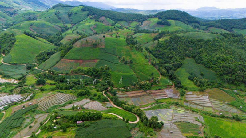 ไม่, Chiang Mai, Tha Pha, Mae Chaem, Chiang Mai, , 3,647 sqm, Land For Sale, by TITISAK Jane, 60247961 - DDproperty.com