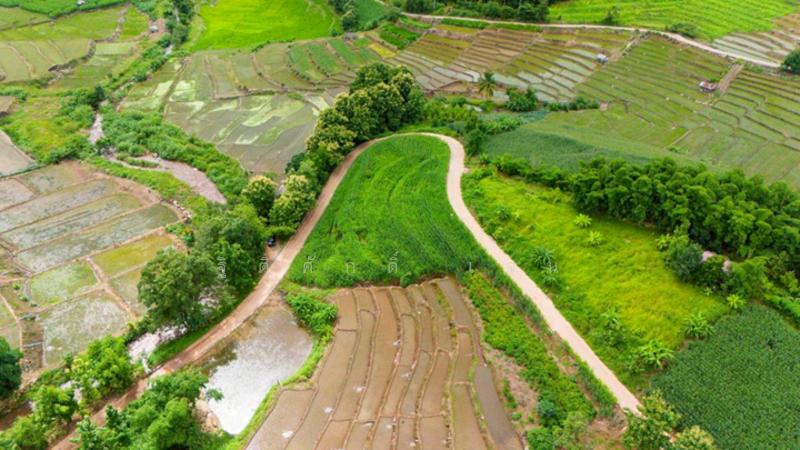 ไม่, Chiang Mai, Tha Pha, Mae Chaem, Chiang Mai, , 3,647 sqm, Land For Sale, by TITISAK Jane, 60247961 - DDproperty.com