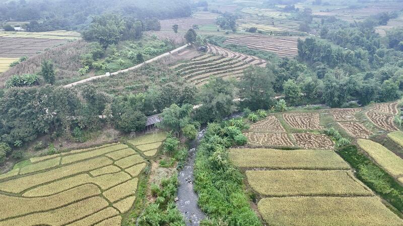 ไม่, Chiang Mai, Tha Pha, Mae Chaem, Chiang Mai, , 3,647 sqm, Land For Sale, by TITISAK Jane, 60247961 - DDproperty.com