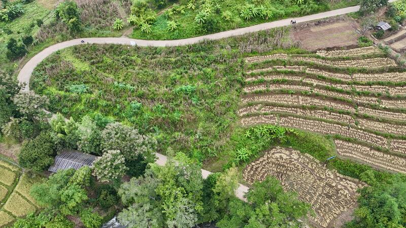 ไม่, Chiang Mai, Tha Pha, Mae Chaem, Chiang Mai, , 3,647 sqm, Land For Sale, by TITISAK Jane, 60247961 - DDproperty.com