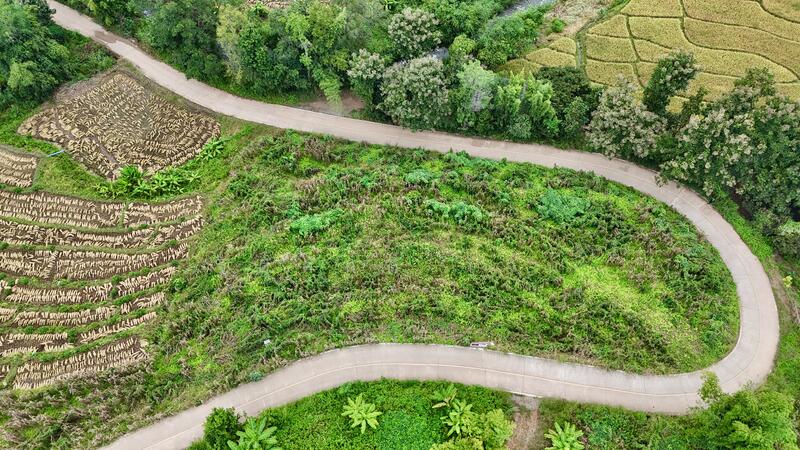 ไม่, Chiang Mai, Tha Pha, Mae Chaem, Chiang Mai, , 3,647 sqm, Land For Sale, by TITISAK Jane, 60247961 - DDproperty.com