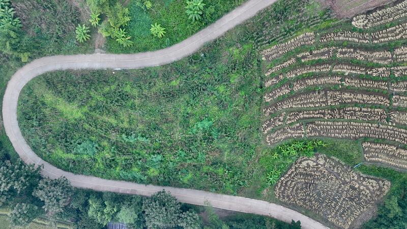 ไม่, Chiang Mai, Tha Pha, Mae Chaem, Chiang Mai, , 3,647 sqm, Land For Sale, by TITISAK Jane, 60247961 - DDproperty.com