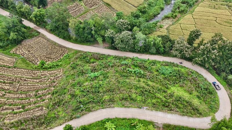 ขาย - ไม่, เชียงใหม่