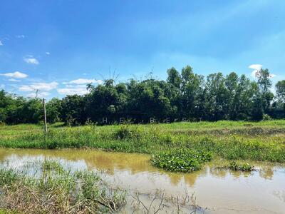 ขาย - ที่ดินหนองขาหย่าง อุทัยธานี, อุทัยธานี