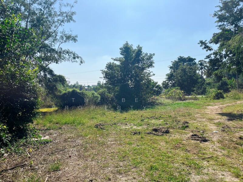 For Sale - ที่ดินหนองขาหย่าง อุทัยธานี, Uthai Thani