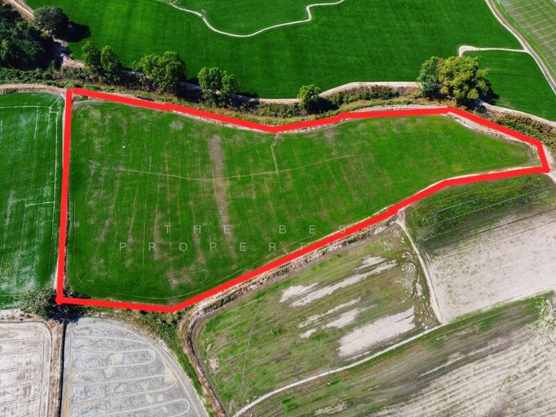 For Sale - ที่ดินหนองขาหย่าง อุทัยธานี, Uthai Thani