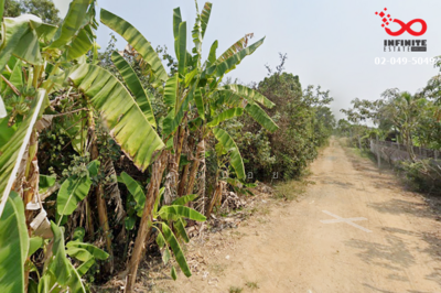 ขาย - ขายที่ดิน 194 ตร.วา ถนนประชาสำราญ ซอยเทวาพิทักษ์ หนองจอก, กรุงเทพ