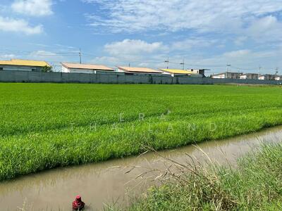 ขาย - ขายที่ดินเปล่า 1 ไร่ เข้าซอย 47 หลังโรงงานชายสี่บะหมี่เกี๊ยว ปทุมธานี, ปทุมธานี