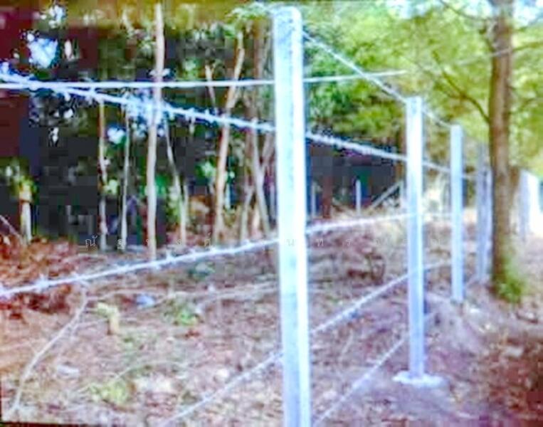 ขาย - หาไม่เจอ, ฉะเชิงเทรา