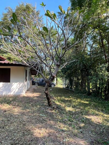 ขาย - ที่ดินพร้อมสิ่งปลูกสร้างอู่ทอง สุพรรณบุรี, สุพรรณบุรี