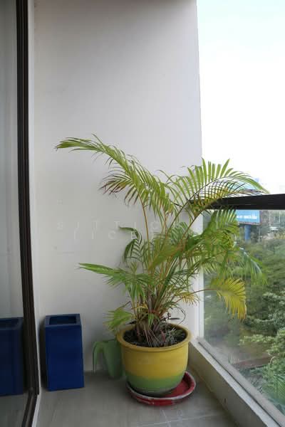 XVI The Sixteenth, Bangkok, 588 Rama 4, Khlong Toei, Khlong Toei, Bangkok, 1 Bedroom, 40 sqm, Condo For Sale, by Sittichai (Ice) Tulyanon, 60248800 - DDproperty.com