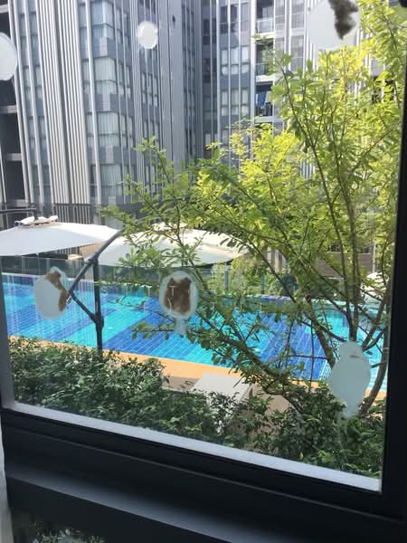 Moniiq Sukhumvit 64 : โมนีคสุขุมวิท64, กรุงเทพ, ซอยสุขุมวิท 64, บางจาก, พระโขนง, กรุงเทพ, 32 ตร.ม., คอนโด ขาย, โดย Sittichai (Ice) Tulyanon, 60249024 - DDproperty.com