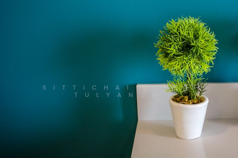 Wyne Sukhumvit, Bangkok, 1120 Sukhumvit Road, Phra Kanong, Khlong Toei, Bangkok, 1 Bedroom, 41 sqm, Condo For Sale, by Sittichai (Ice) Tulyanon, 60249286 - DDproperty.com