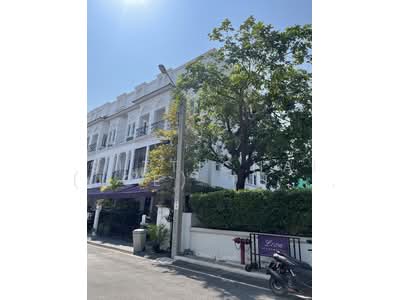 ขาย - Leon Sukhumvit 62 : ลีออง สุขุมวิท 62, กรุงเทพ