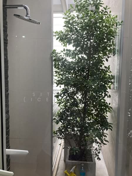 349 Residence : 349 เรสซิเดนซ์, กรุงเทพ, ซอย พร้อมพรรค, คลองตันเหนือ, วัฒนา, กรุงเทพ, 400 ตร.ม., ทาวน์เฮ้าส์ ขาย, โดย Sittichai (Ice) Tulyanon, 60249411 - DDproperty.com