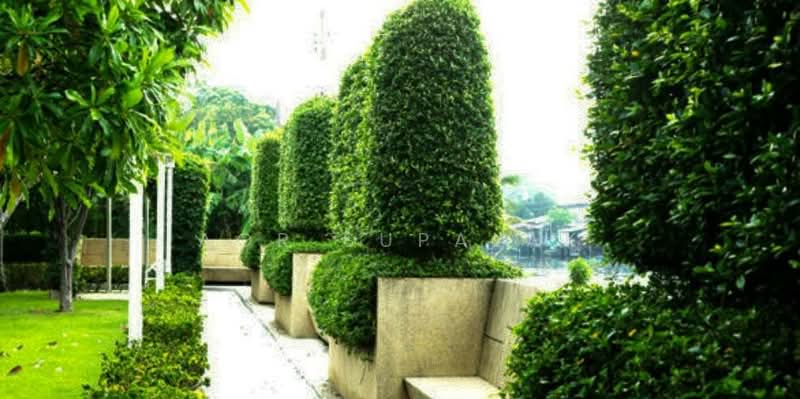 The Star Estate Pattanakarn 69, Bangkok, Soi Phatthanakan 69, Prawet, Prawet, Bangkok, 5 Bedrooms, 680 sqm, Single Detached House For Sale, by Sittichai (Ice) Tulyanon, 60249720 - DDproperty.com