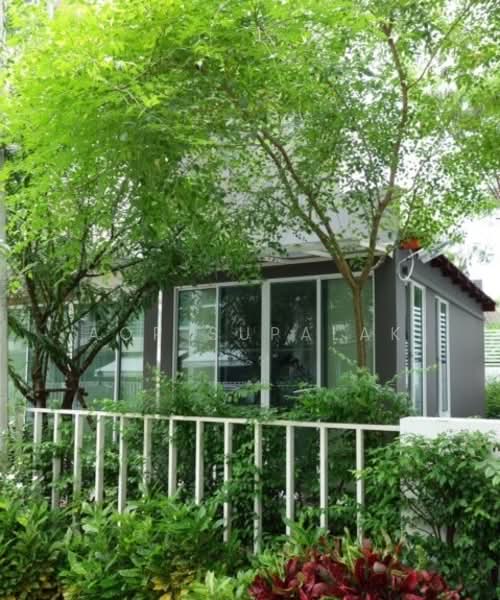 The Estate Srinakarin 1 : ดิ เอสเตท ศรีนครินทร์ 1, กรุงเทพ, ซอยอ่อนนุช 46, สวนหลวง, สวนหลวง, กรุงเทพ, 280 ตร.ม., ทาวน์เฮ้าส์ ขาย, โดย Sittichai (Ice) Tulyanon, 60249774 - DDproperty.com