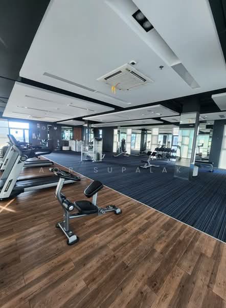 The Sky Sukhumvit : เดอะ สกาย สุขุมวิท, กรุงเทพ, 103-4 ถนนสุขุมวิท, บางนาเหนือ, บางนา, กรุงเทพ, 80 ตร.ม., คอนโด ให้เช่า, โดย Sittichai (Ice) Tulyanon, 60250162 - DDproperty.com