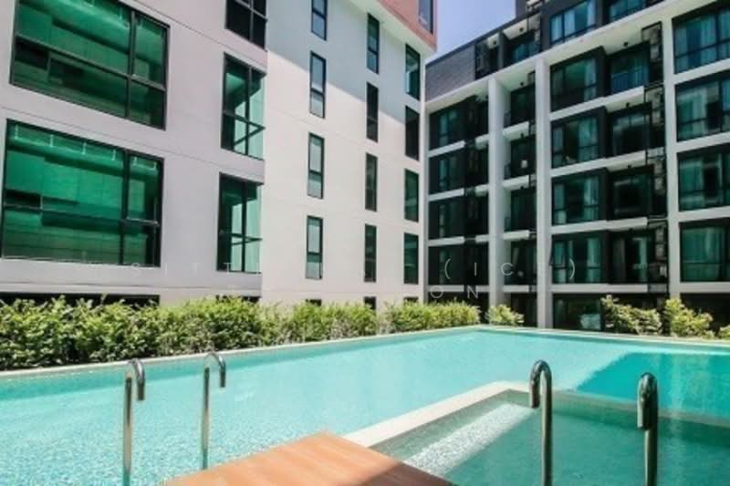 Tree Condo สุขุมวิท 50 (ทรี คอนโด สุขุมวิท 50), กรุงเทพ, - ถนนสุขุมวิท, พระโขนง, คลองเตย, กรุงเทพ, 61 ตร.ม., คอนโด ขาย, โดย Sittichai (Ice) Tulyanon, 60250272 - DDproperty.com