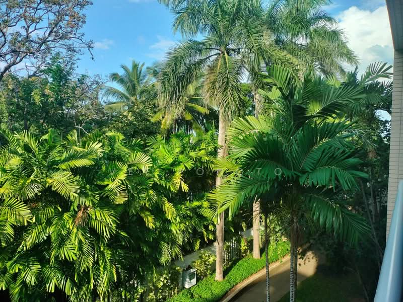 Baan Sansaran : บ้าน แสนสราญ, ประจวบคีรีขันธ์, ซอยหัวหิน 87, หนองแก, หัวหิน, ประจวบคีรีขันธ์, 147 ตร.ม., คอนโด ขาย, โดย Parkkapol (Smile) Luecha, 60250558 - DDproperty.com