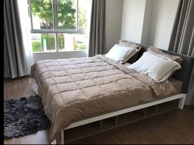 ขาย - Dcondo Nim : ดีคอนโด นิม, เชียงใหม่