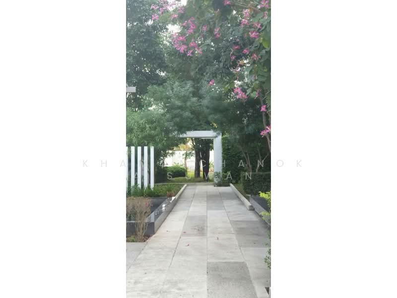 Serene Lake North 4 : ซีรีน เลค นอร์ธ 4, เชียงใหม่, สุเทพ, เมืองเชียงใหม่, เชียงใหม่, 35 ตร.ม., คอนโด ขาย, โดย Khamonchanok Aisuwan, 60250695 - DDproperty.com