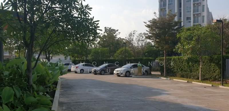 Serene Lake North 4 : ซีรีน เลค นอร์ธ 4, เชียงใหม่, สุเทพ, เมืองเชียงใหม่, เชียงใหม่, 35 ตร.ม., คอนโด ขาย, โดย Khamonchanok Aisuwan, 60250695 - DDproperty.com