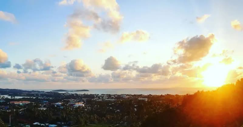 Samui Scandinavian Apartments : สมุย สแกนดิเนเวียน อพาร์ทเม้นท์, สุราษฎร์ธานี, บ่อผุด, เกาะสมุย, สุราษฎร์ธานี, 110 ตร.ม., อพาร์ทเมนท์ ขาย, โดย Thanya Pimonpat, 60251021 - DDproperty.com