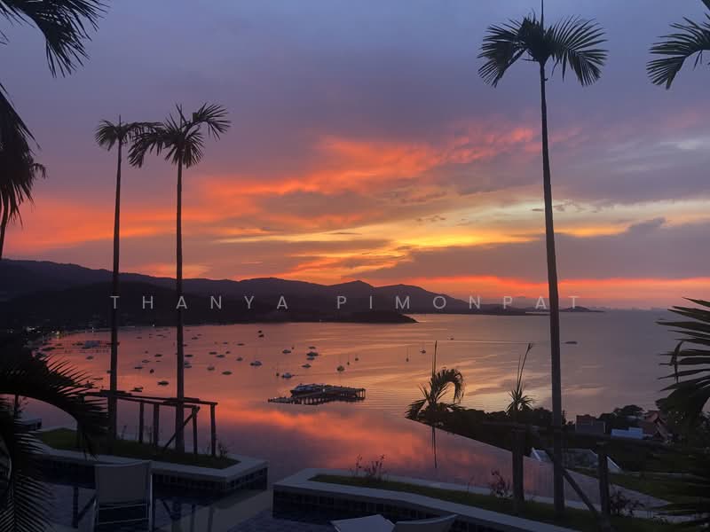 UniQue Boutique Resort and Residences, สุราษฎร์ธานี, บ่อผุด, เกาะสมุย, สุราษฎร์ธานี, 114 ตร.ม., อพาร์ทเมนท์ ขาย, โดย Thanya Pimonpat, 60251114 - DDproperty.com