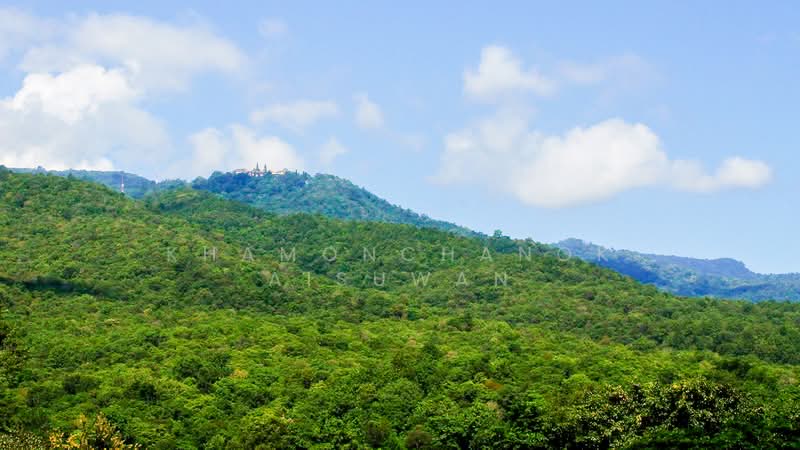 The Star Hill Condo, Chiang Mai, 88 Moo 5 Chonprathan Rd, Su Thep, Muang Chiang Mai, Chiang Mai, 2 Bedrooms, 67 sqm, Condo For Sale, by Khamonchanok Aisuwan, 60251212 - DDproperty.com